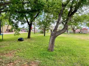 201 N Franklin St (11)