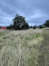 12 Lakeview Dr (19)