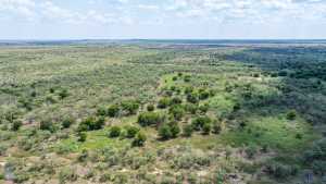 1208 County Road 304 (14)