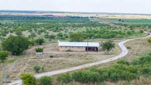 1208 County Road 304 (16)
