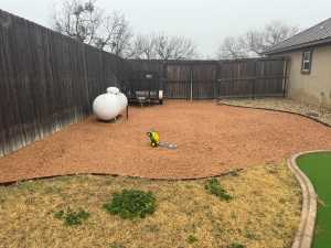 145 Edinburgh Rd (4)