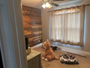 145 Edinburgh Rd (9)