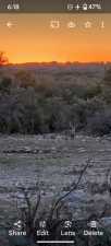 1081 SE Whitetail Trl (36)