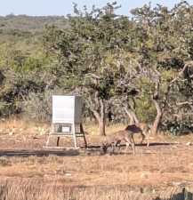 1081 SE Whitetail Trl (11)