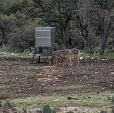1081 SE Whitetail Trl (9)