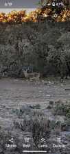 1081 SE Whitetail Trl (38)