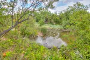 910 N Adams St (20)