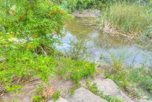 910 N Adams St (31)