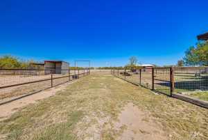 12846 Dove Creek West Lane (16)