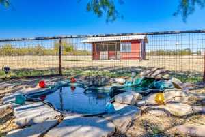 12846 Dove Creek West Lane (23)