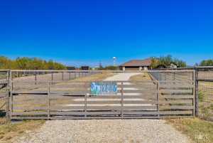 12846 Dove Creek West Lane (12)