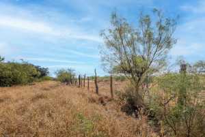 250 S Spur (12)