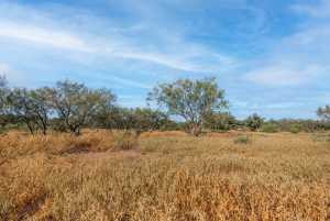250 S Spur (13)