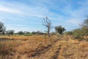 250 S Spur (19)