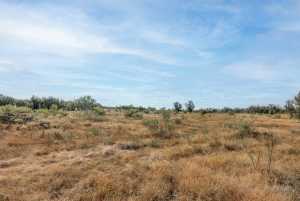 250 S Spur (20)
