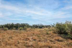250 S Spur (23)