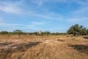 250 S Spur (9)