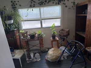 61 Maddox St (10)