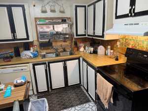 61 Maddox St (6)