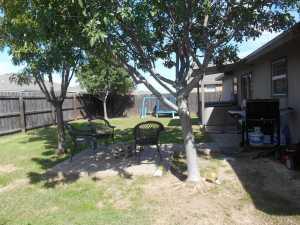 1211 Johnny Lane (9)