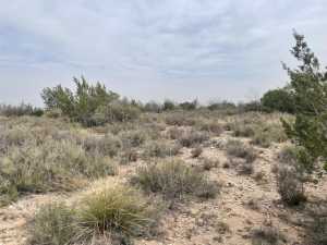 10498 Twin Lakes Lane (3)