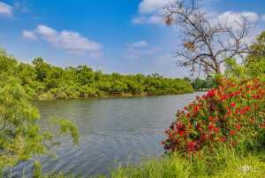 1703 Christoval Rd (57)