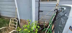 1924 Lillie St (6)