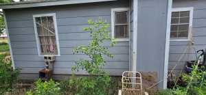 1924 Lillie St (7)
