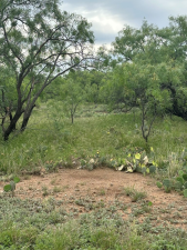 9510 Iron Spoke Trail (4)