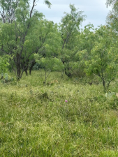 9510 Iron Spoke Trail (6)