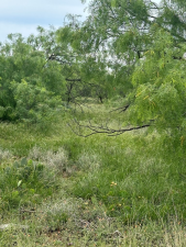 9510 Iron Spoke Trail (8)