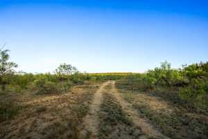 CR 4131 Eden (24)