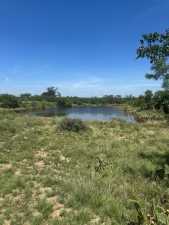 CR 4131 Eden (50)