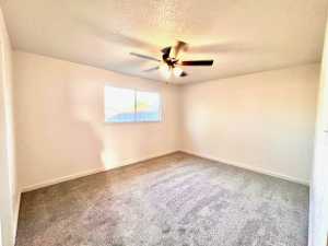 2726 Erline Dr (7)