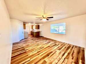 2726 Erline Dr (3)