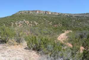 Hwy 208
