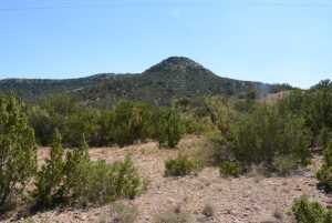 Hwy 208 (10)