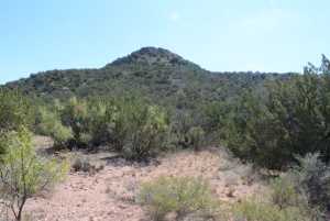 Hwy 208 (11)