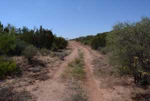 Hwy 208 (12)