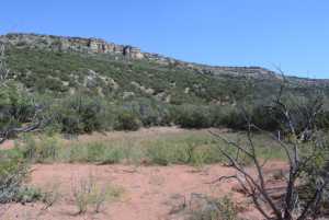 Hwy 208 (14)