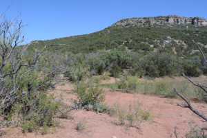 Hwy 208 (15)