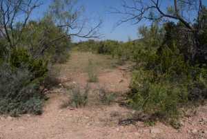 Hwy 208 (2)