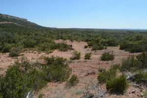 Hwy 208 (20)