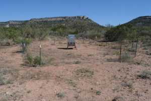 Hwy 208 (5)