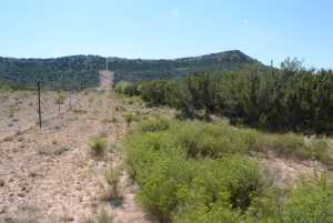 Hwy 208 (6)