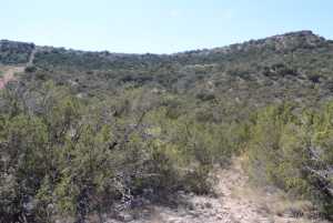 Hwy 208 (7)