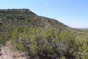 Hwy 208 (8)
