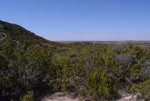 Hwy 208 (9)
