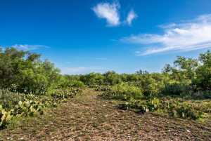 - EOR-North Spur Rd (18)