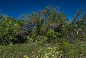 - EOR-North Spur Rd (20)